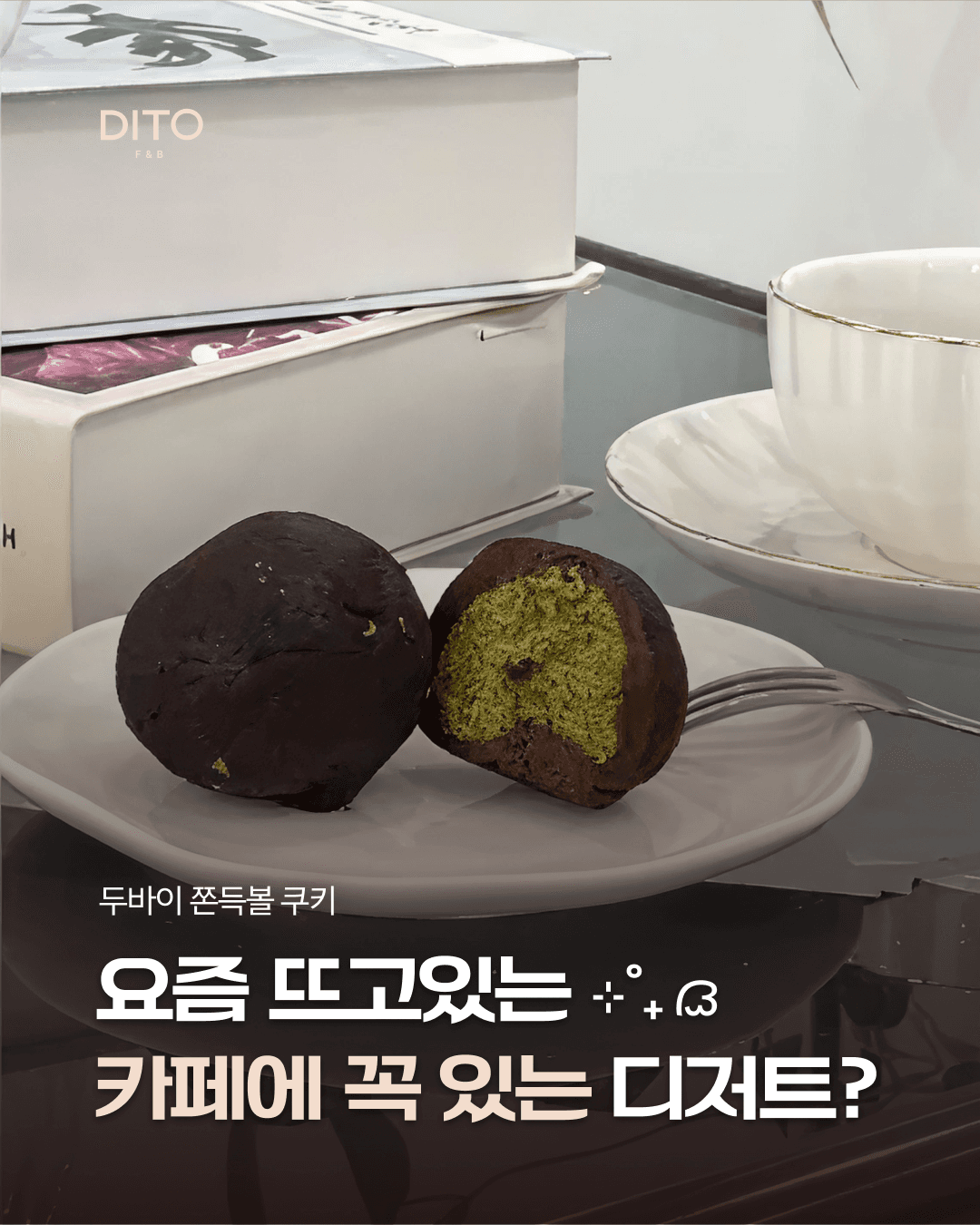 초코텍 & 디토 3