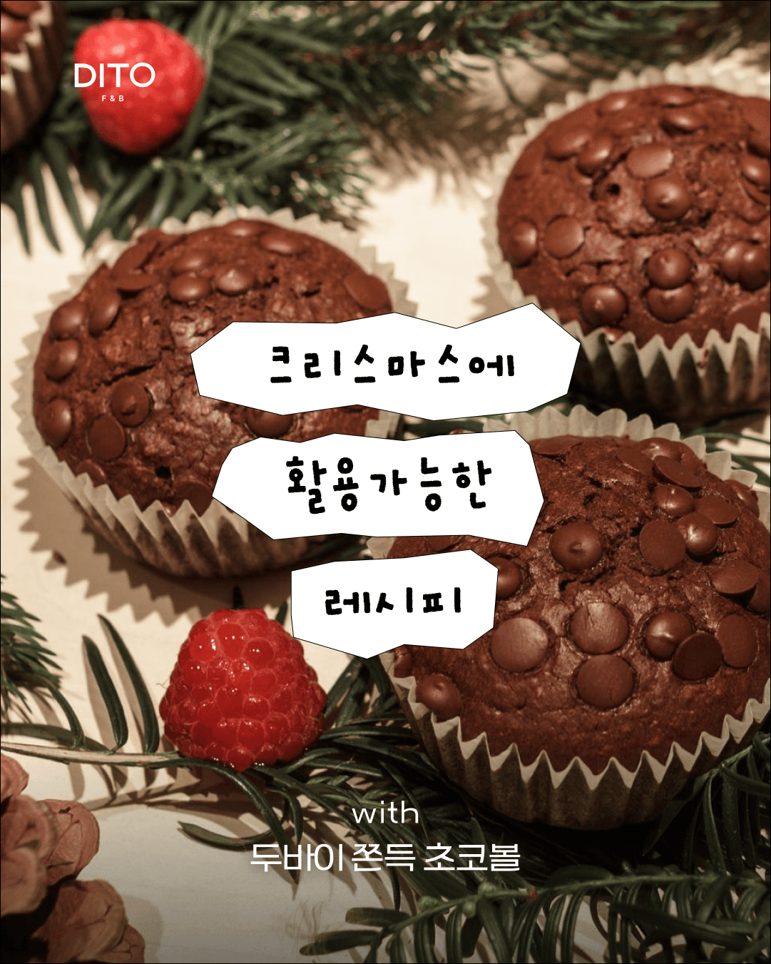 초코텍 & 디토 5
