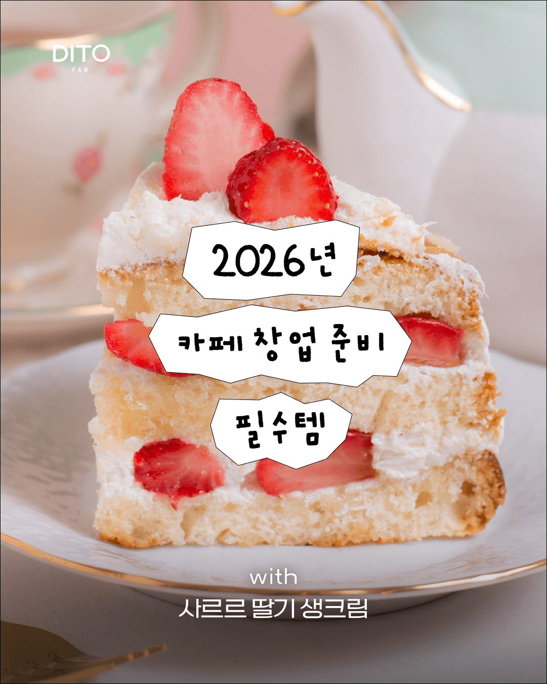 초코텍 & 디토 6