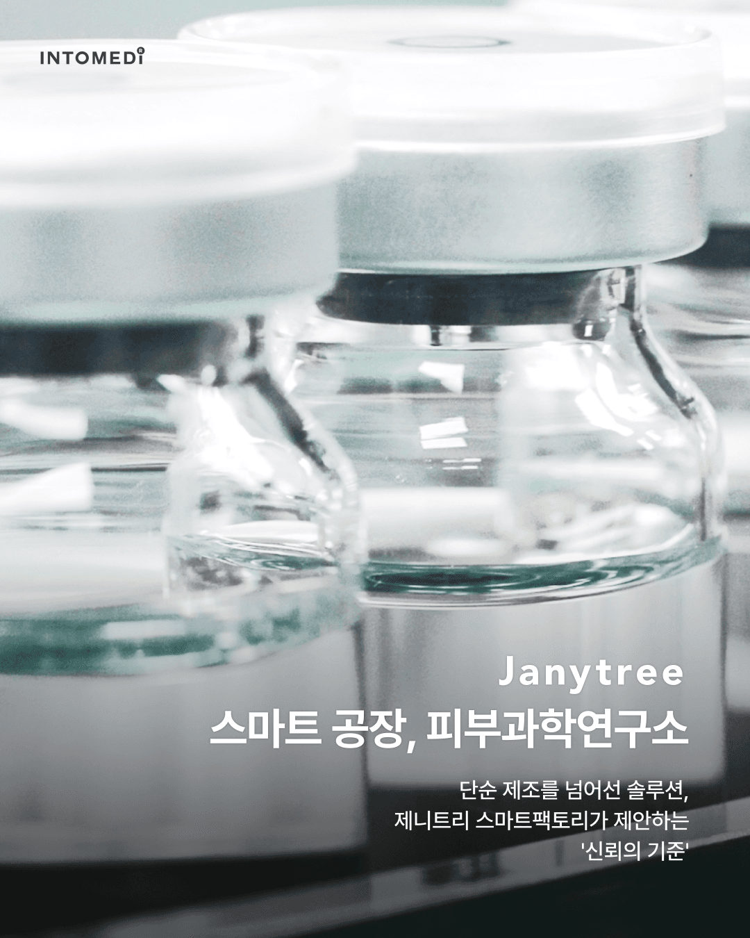 제니트리 6